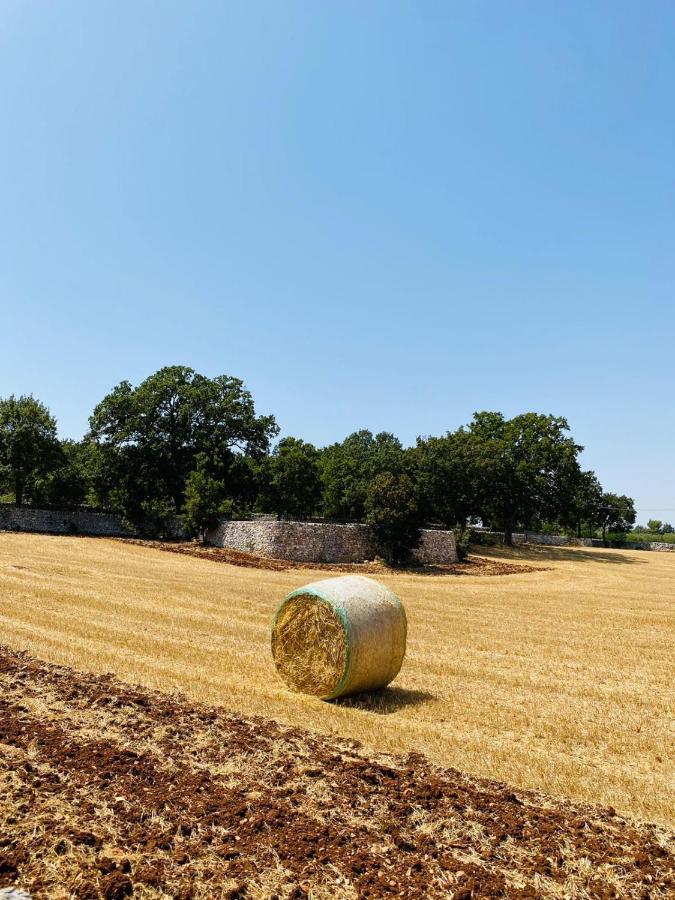 Trulli Della Masseria Staffone 알베르벨로 외부 사진