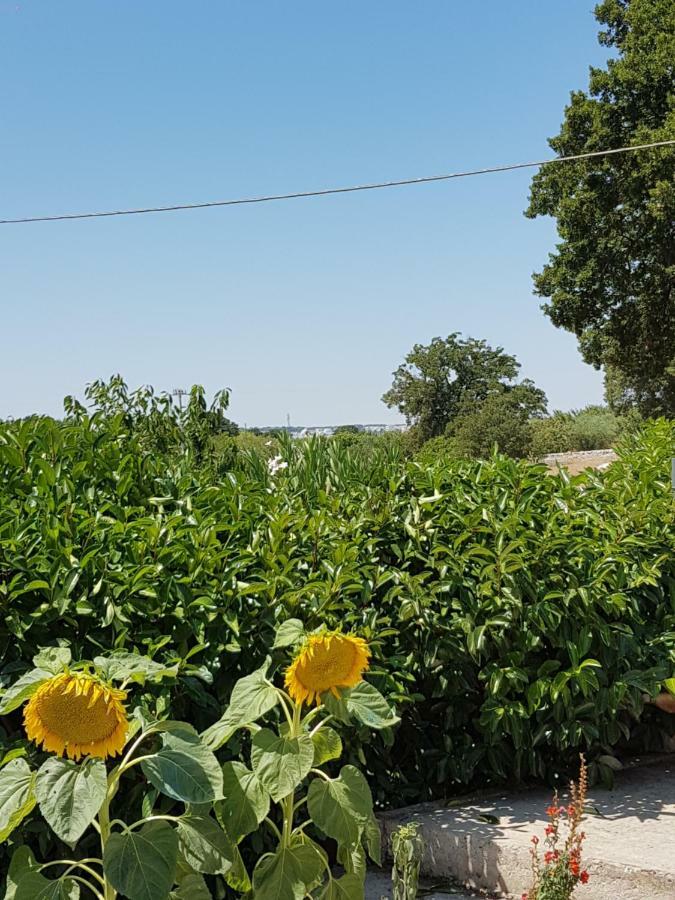 Trulli Della Masseria Staffone 알베르벨로 외부 사진